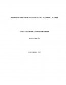 CASO SALESFORCE.COM ESTRATEGIA