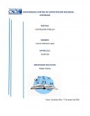 CONTADURÍA PÚBLICA