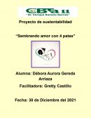 Proyecto de sustentabilidad “Sembrando amor con 4 patas”