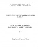 PROYECTO DE INFORMATICA