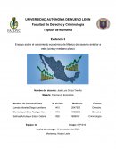 Ensayo sobre el crecimiento económico de México del sexenio anterior a este (corto y mediano plazo)