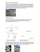 Discusión y análisis de resultados. Recristalización de una disolución solida saturada de acetanilida