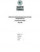 PRÁCTICA NECESIDADES EDUCATIVAS PERMANENTES PLANIFICACIONES
