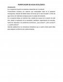 PURIFICADOR DE AGUA ECOLÓGICO