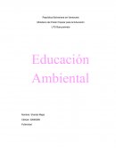 Educación ambiental. Para resolver los problemas ambientales