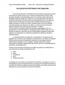 GLICACION DE PROTEINAS E INFLAMACIÓN