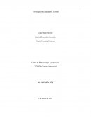 Plan de investigación capacitación laboral