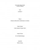 Sistemas de información en salud basados en evidencias