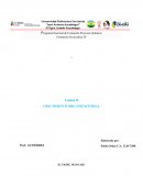 CRECIMIENTO ORGANIZACIONAL