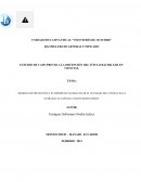 Medidas de prevención y su importancia para evitar el contagio del COVID-19 en la entrada las Cañitas, Cantón Montecristi