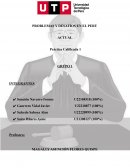 PROBLEMAS Y DESAFÍOS EN EL PERÚ ACTUAL