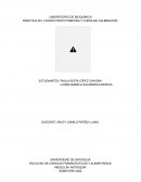 PRÁCTICA NO. 2 ESPECTROFOTOMETRÍA Y CURVA DE CALIBRACIÓN