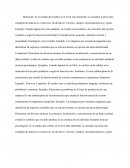 Niveles de neurociencia