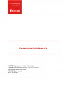 Planta automatizada Cervecería