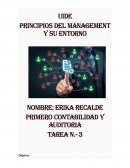 Principios del Management y su Entorno