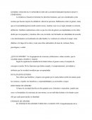 GENERO, VIOLENCIA Y CONSTRUCCION DE LAS IDENTIDADES MASCULINAS Y FEMENINAS