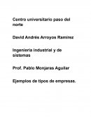 Ejemplos de tipos de empresas