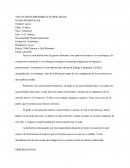 TENTACIONES PROHIBIDAS (TOWELHEAD)