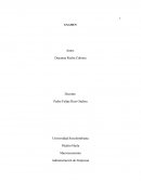 RESUMEN DE EL HUECO NEGRO Y LA TERCERA OLA