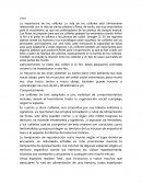 La importancia de los colibríes