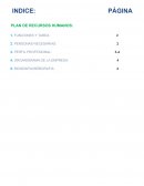 PLAN DE RECURSOS HUMANOS