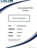 Proyecto Integrador Algebra