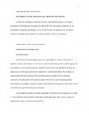 ANALISIS PESTEL DE TOYOTA