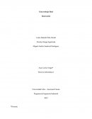 Trabajo Innovación. Descripción del producto Producto: Almohada