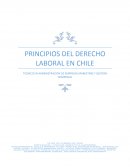 PRINCIPIOS DEL DERECHO LABORAL EN CHILE