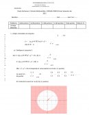 Pauta certamen 1 calculo multivariable