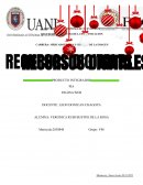 CASO: INDUSTRIAL Y SERVICIOS JAVER