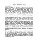 Ensayo de Software Libre