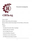 Practica. El alumno efectuara un recuento de plaquetas por el método direct