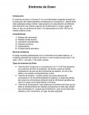 Síndrome de Down. Su aprendizaje