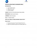 PROYECTO PUBLICITARIO “DETERGENTE ARIEL”