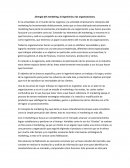 Sinergia del marketing, la ingeniería y las organizaciones