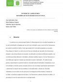 INFORME DE LABORATORIO: DETERMINAR VELOCIDADES INSTANTÁNEAS