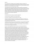 La teoría estructuralista: concepto de sociedad de organización