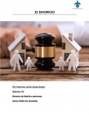 Divorcio. Derecho de familia y personas