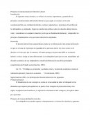 Principios Constitucionales del Derecho Laboral