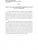 Estetica y filosofia