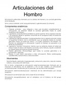 Articulaciones del Hombro