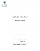 Informe laboratorio. Reconocimiento de Moléculas