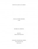 ENSAYO DE LA PELICULA EL MEDICO