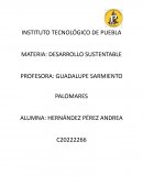 Problemas que ocasionamos al planeta debido a nuestras acciones