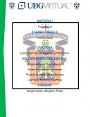 DESCRIPCIÓN DEL PROBLEMA CENTRAL DEL PROYECTO