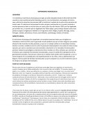 MATRIMONIO HOMOSEXUAL LEGALIDAD