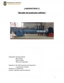 LABORATORIO 2: “Secado de productos sólidos”