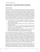 Seguridad y desapariciones forzadas