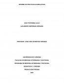 MANEJO GRANJA PORCINA